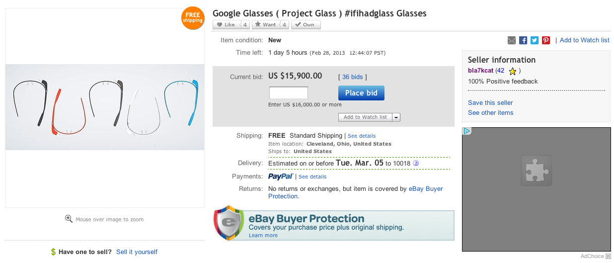 Fake Google Glass eBay Auction Pulled After Bids Soar Past 15,000